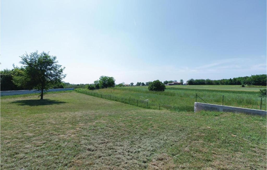 Frankovici Stara Vala - Istra *